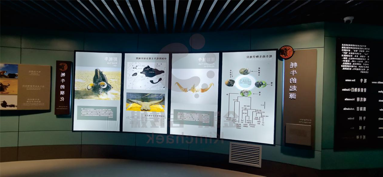 青藏牦牛博物馆标识设计、制作及安装